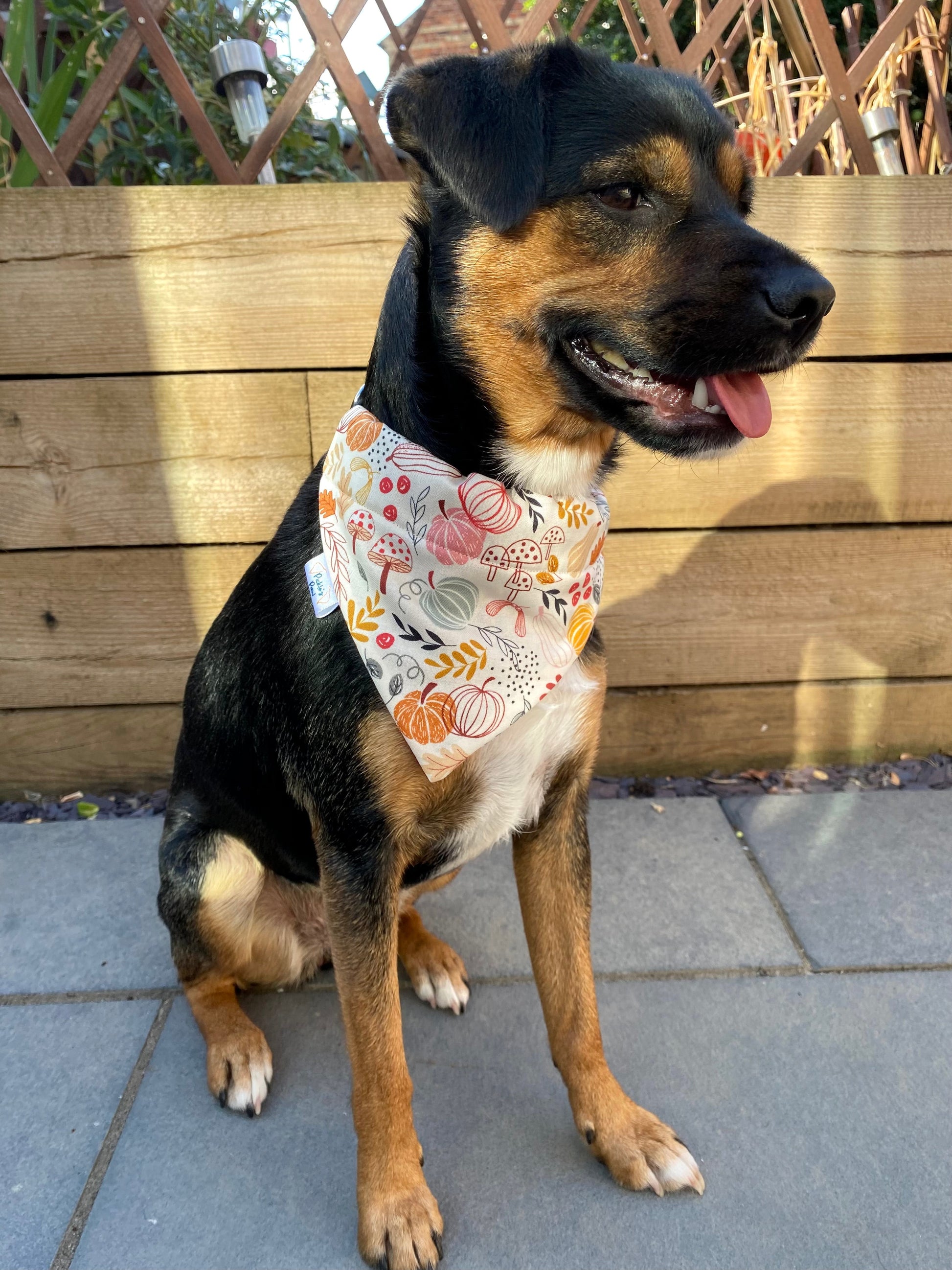 Autumn Forest Floor Dog Bandana Dog Bandanas - PicklesPaw