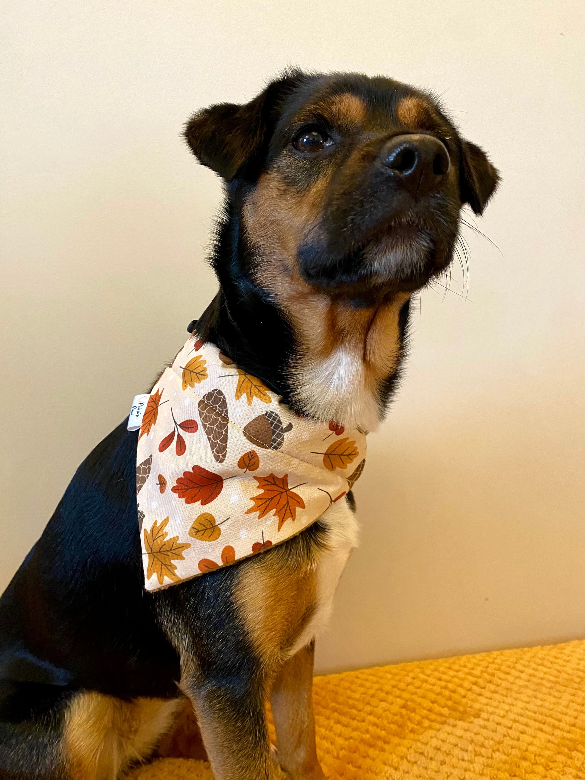 Autumn Forest Walk Dog Bandana Dog Bandanas - PicklesPaw