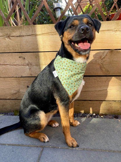 Autumn Leaves Dog Bandana Dog Bandanas - PicklesPaw