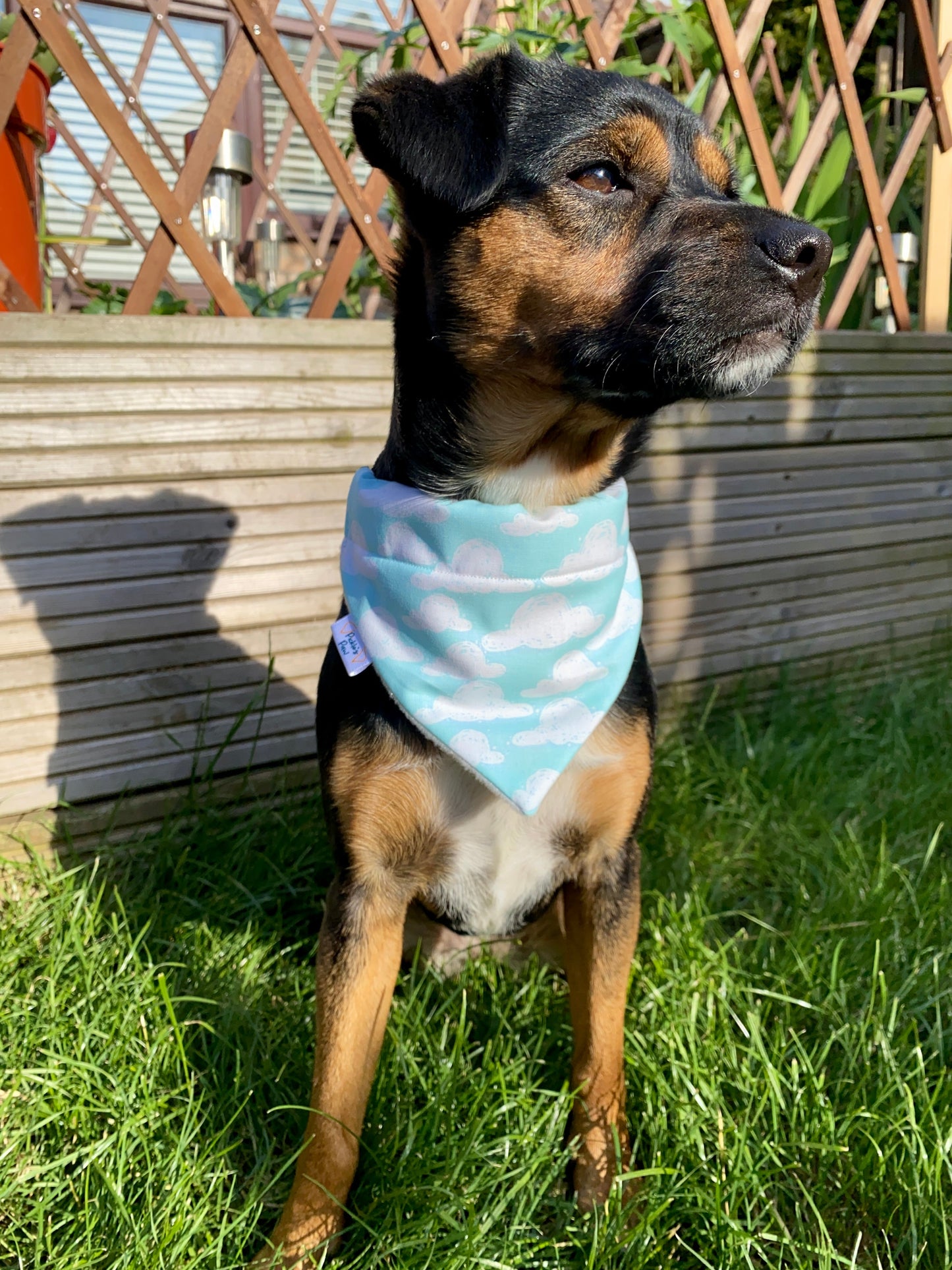 Blue Sky & Clouds Dog Bandana Dog Bandanas - PicklesPaw