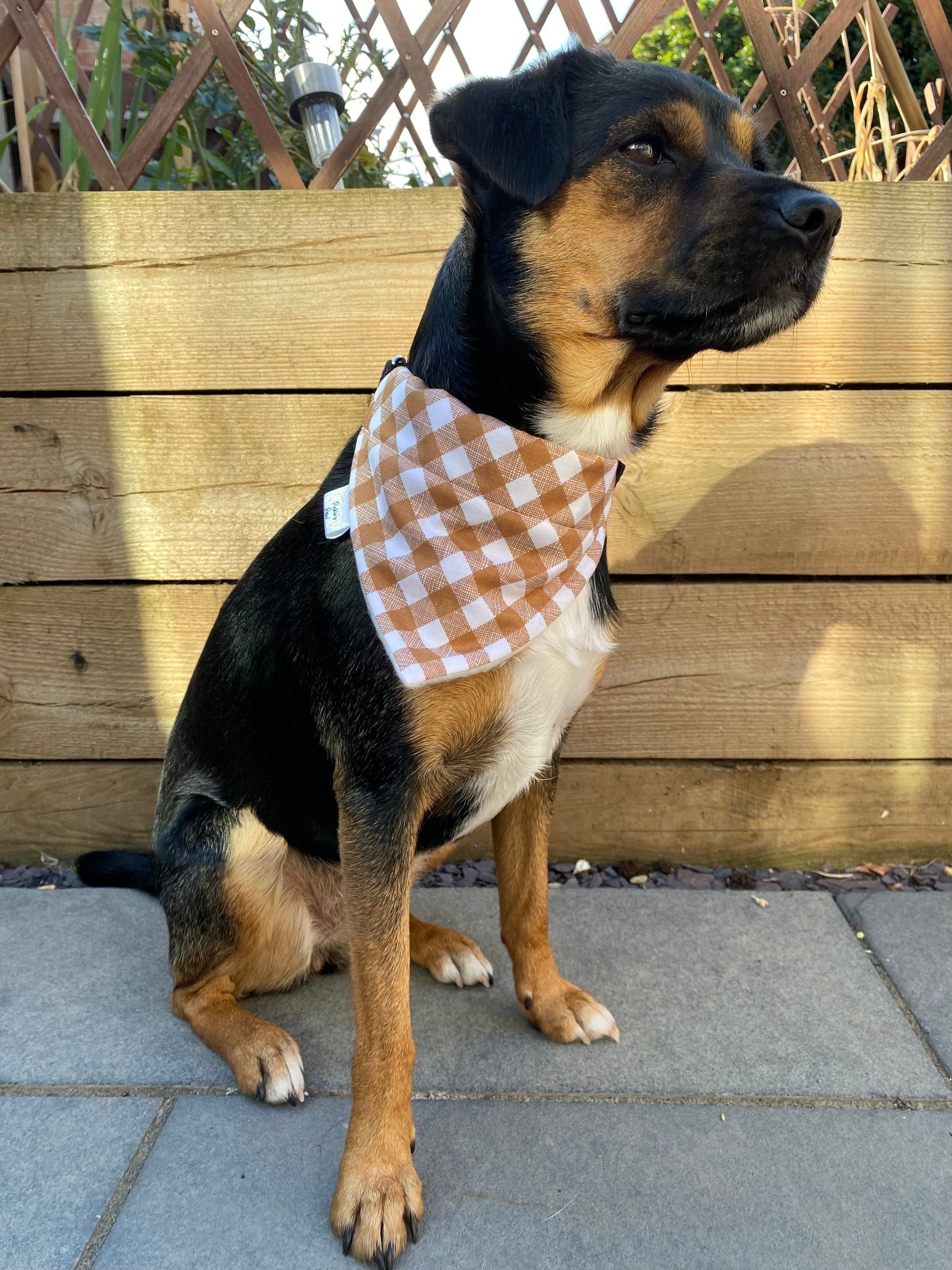 Brown Gingham Dog Bandana Dog Bandanas - PicklesPaw