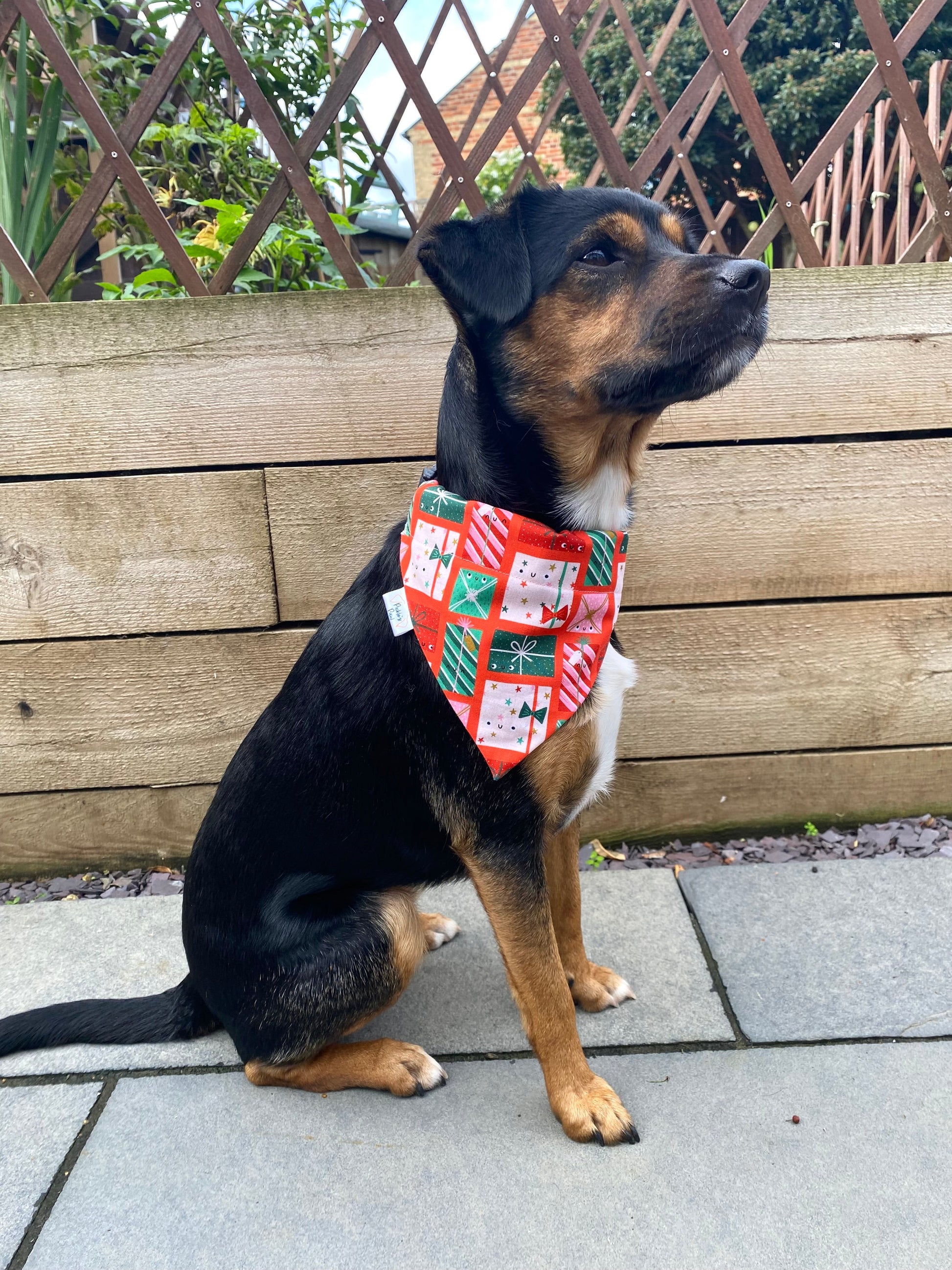 Christmas Presents Dog Bandana Dog Bandanas - PicklesPaw