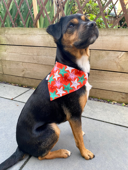 Christmas Stars Dog Bandana Dog Bandanas - PicklesPaw