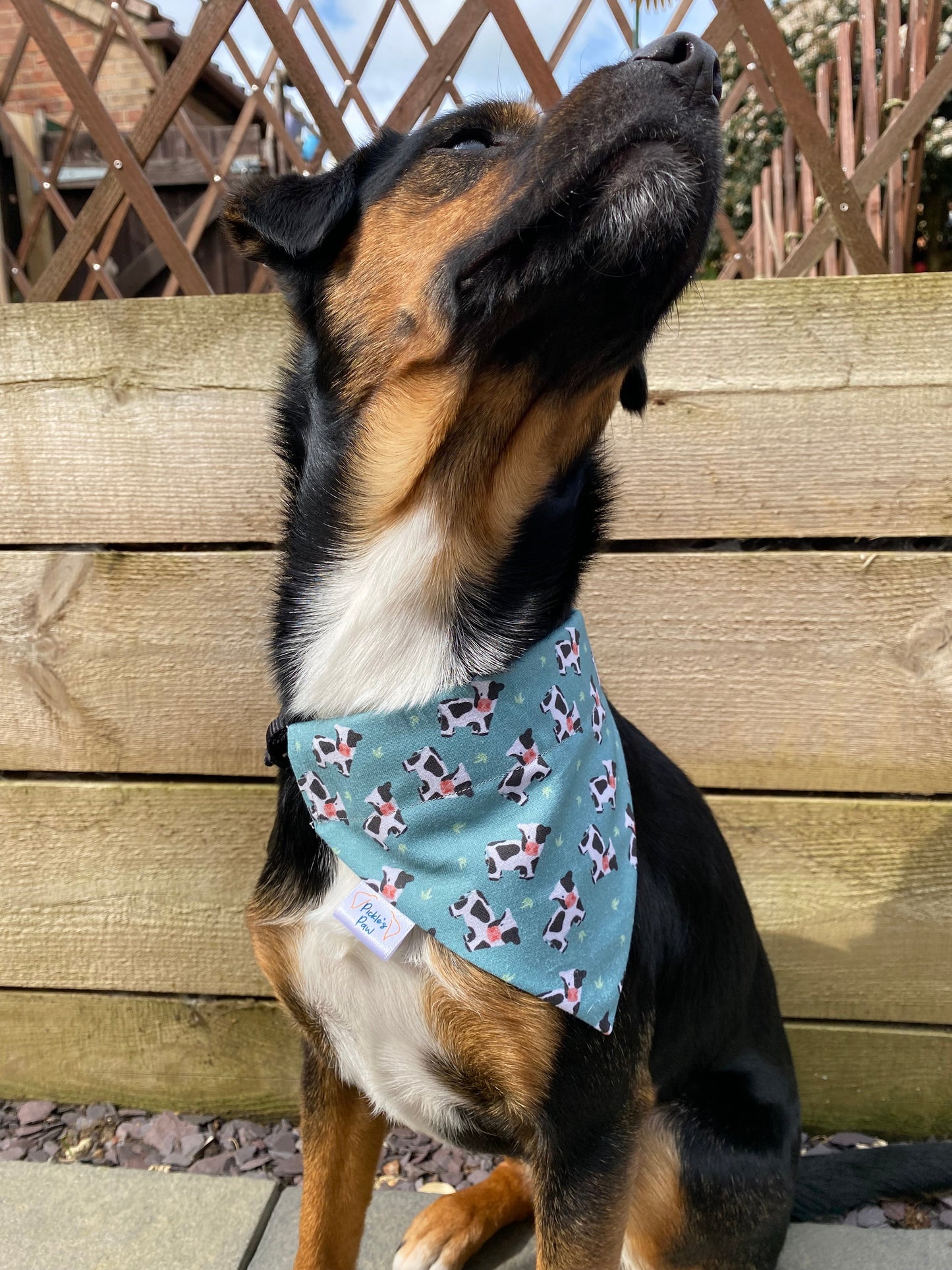 Cow Farm Dog Bandana Dog Bandanas - PicklesPaw