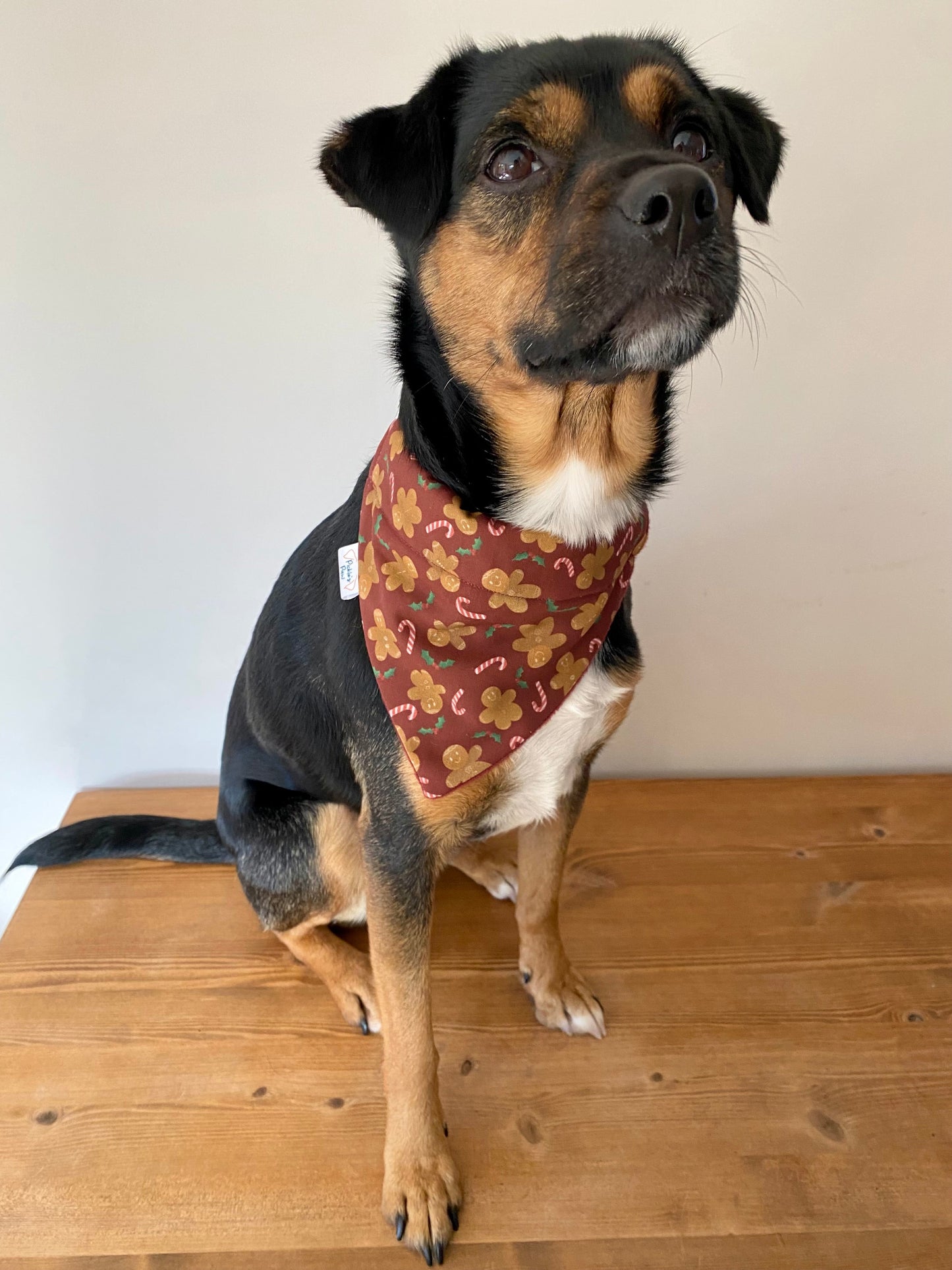 Gingerbread and Candy Canes Dog Bandana Dog Bandanas - PicklesPaw